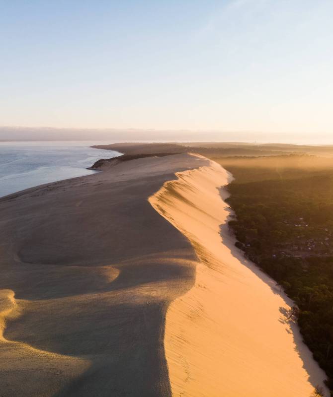Dune du Pilat sand mountain and pine forest in sunrise drone aerial view panoramic in Arcachon Landes Aquitaine France